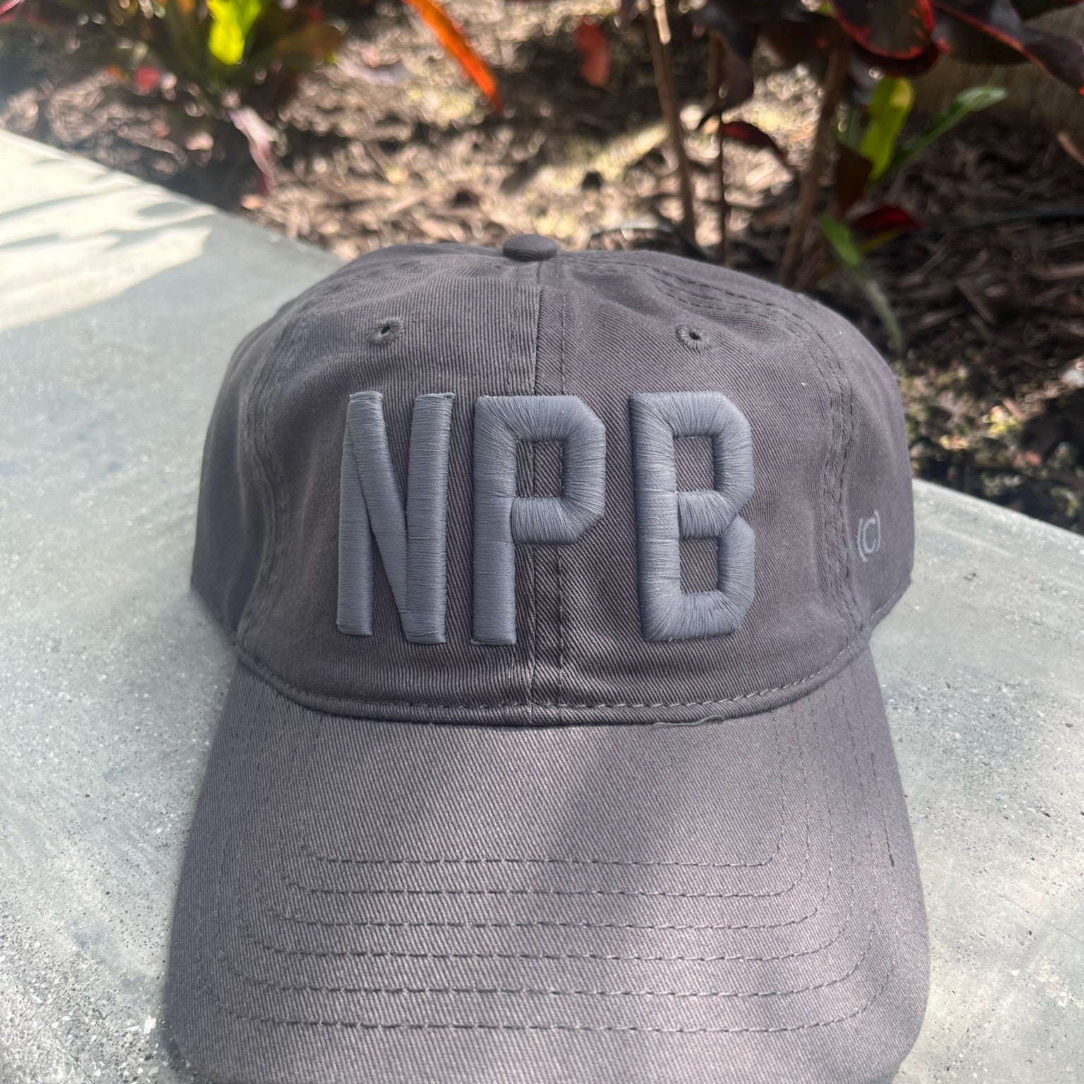 Codeword Monochrome NPB Hat