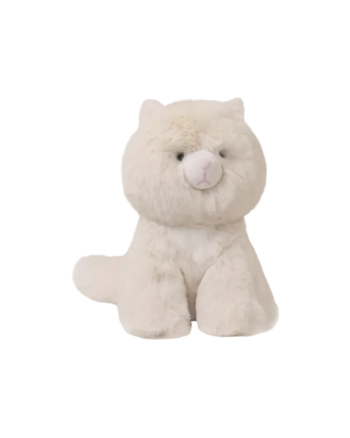 OB | Kiki The Himalayan Cat | Vagabond | Apparel | Boutique