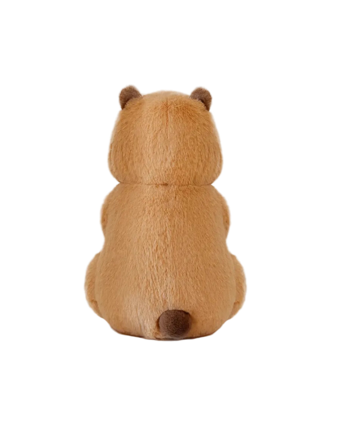 OB | Carlos Capybara | Back | Vagabond | Apparel | Boutique