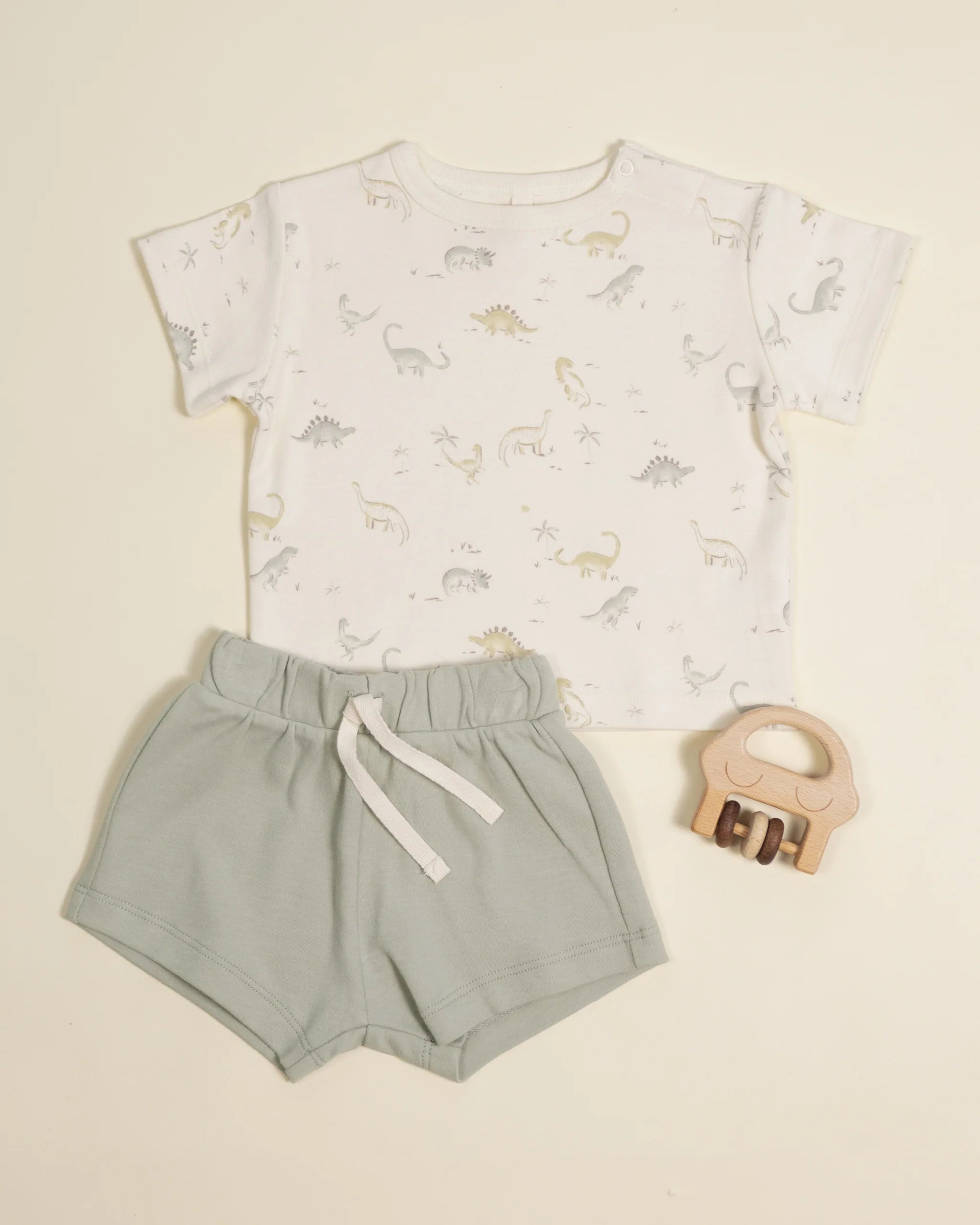 Rylee & Cru | Boxy Tee Dinosaur | Vagabond | Apparel | Boutique