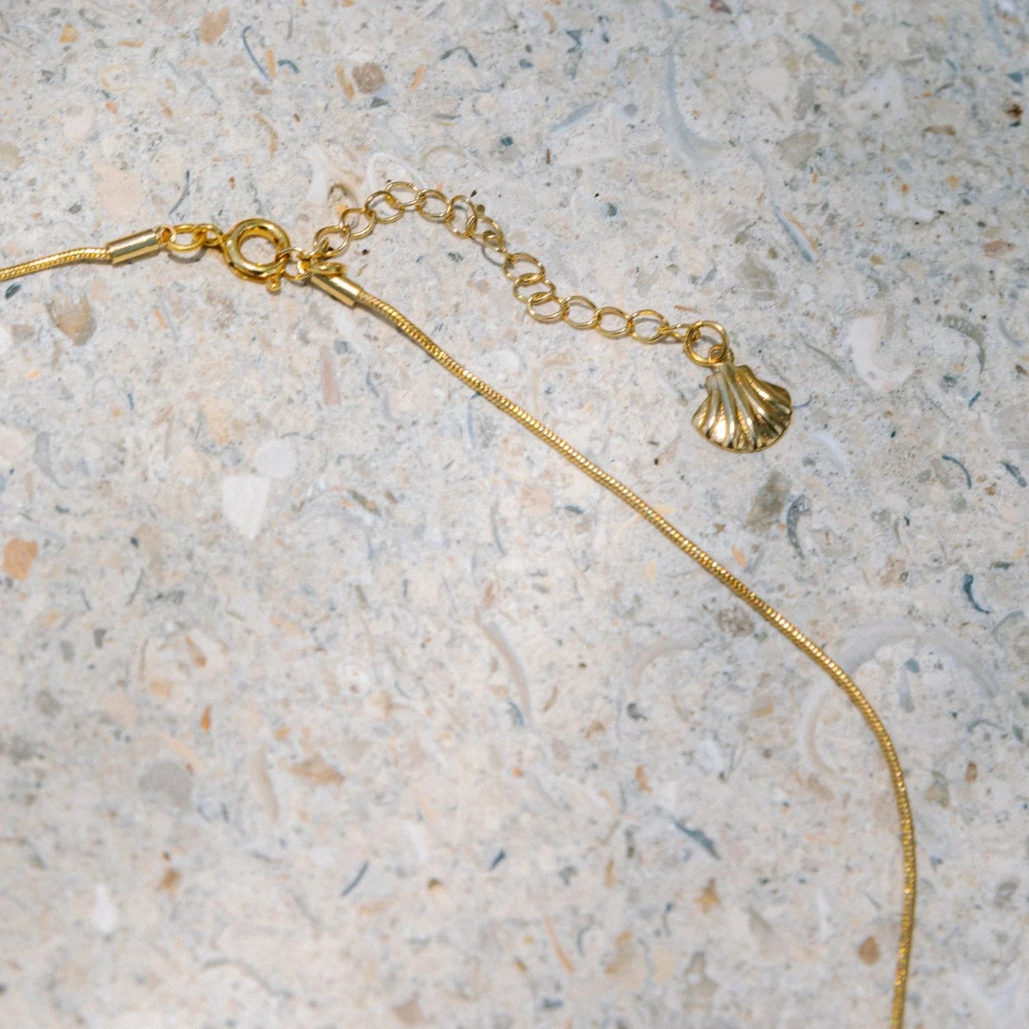 Voyage | Iridescent Starfish | Chain | Vagabond | Apparel | Boutique