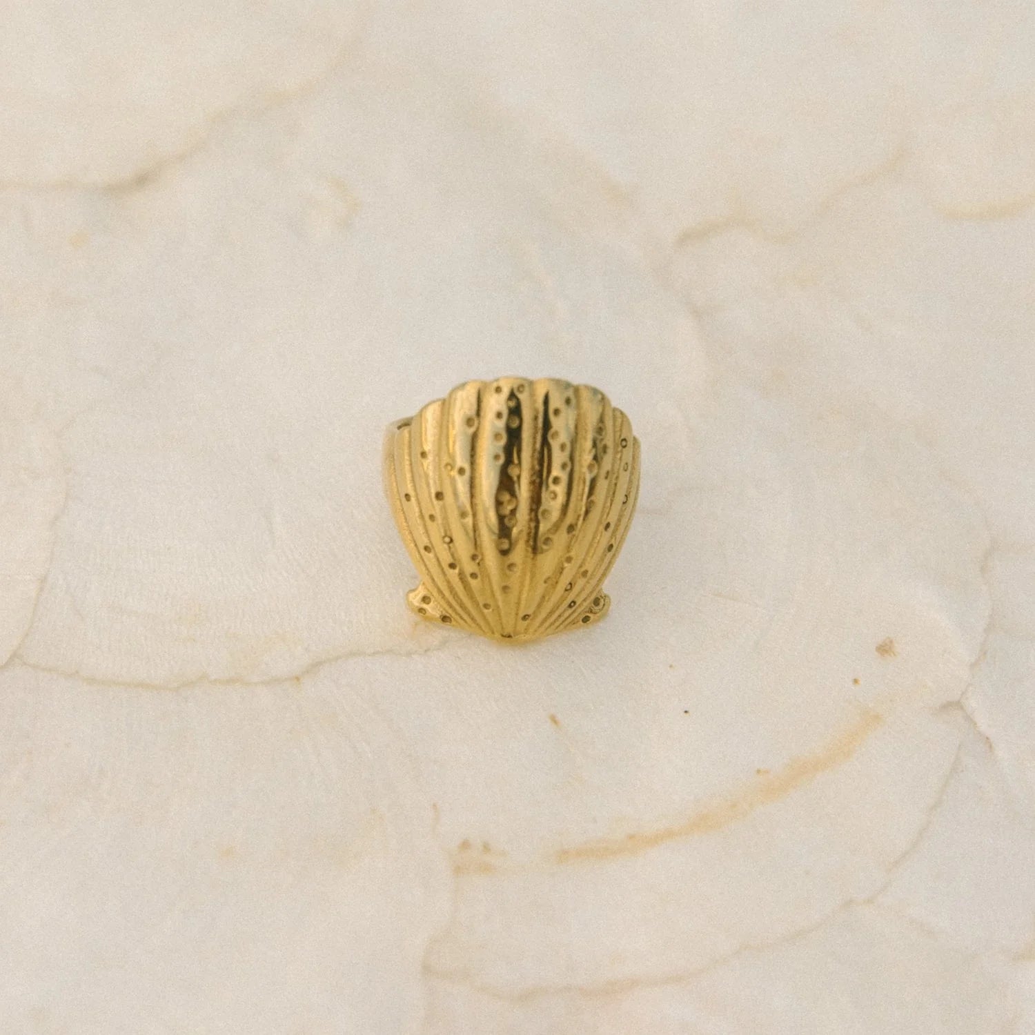 Voyage | Scallop Shell Ring | Stock | Vagabond | Apparel | Boutique