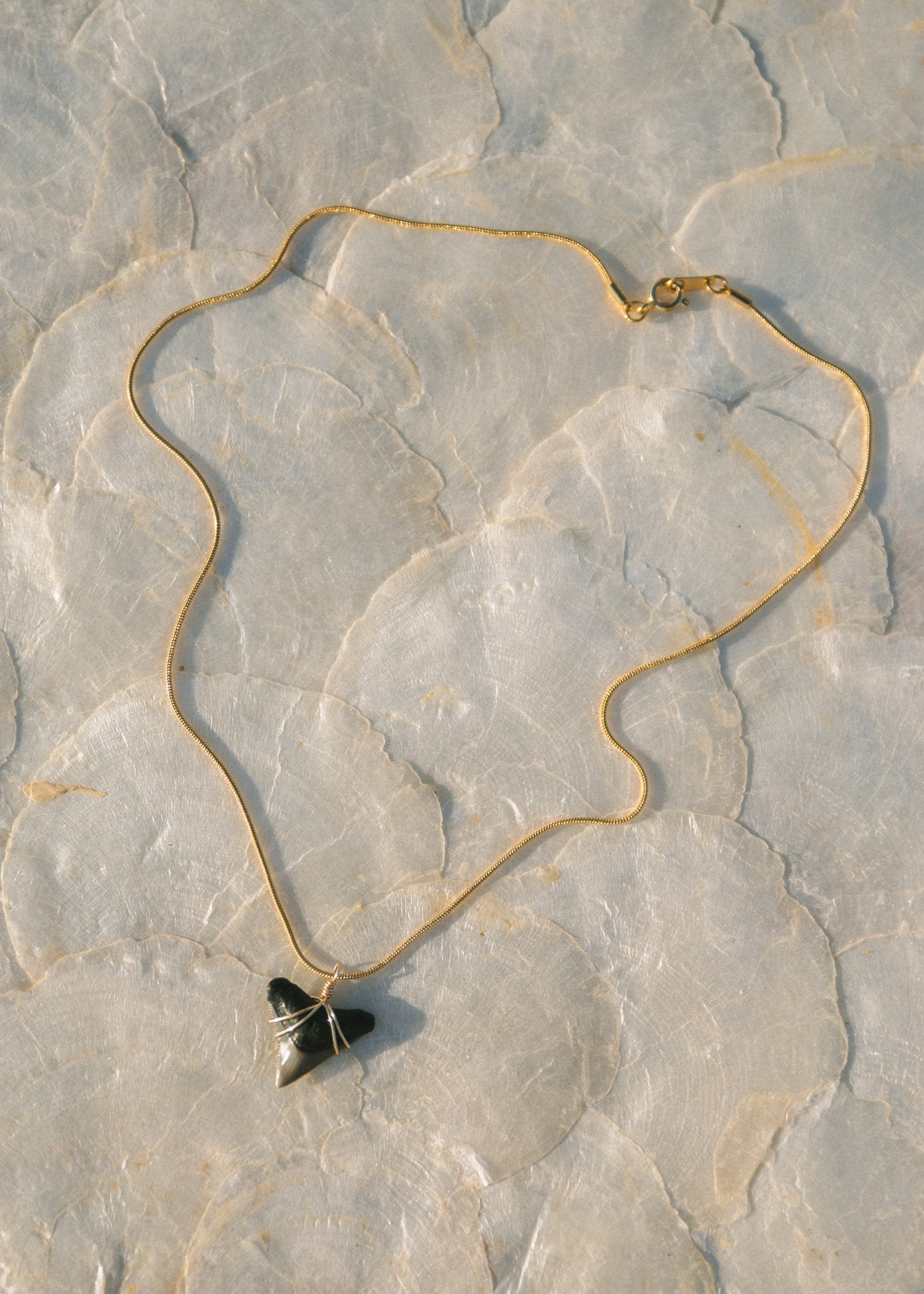 Voyage Shark Tooth Necklace | Vagabond Apparel Boutique