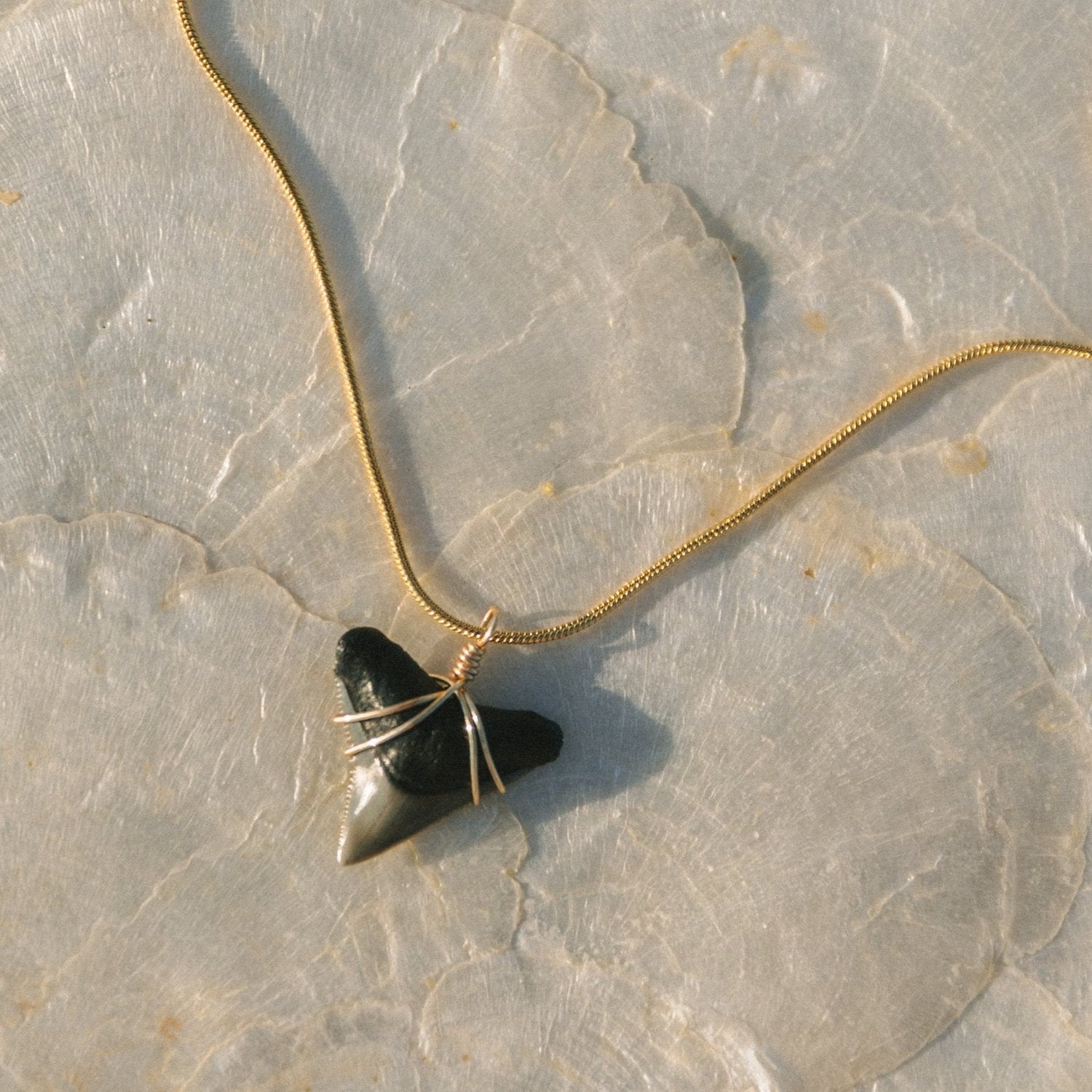 Voyage Shark Tooth Necklace | Vagabond Apparel Boutique