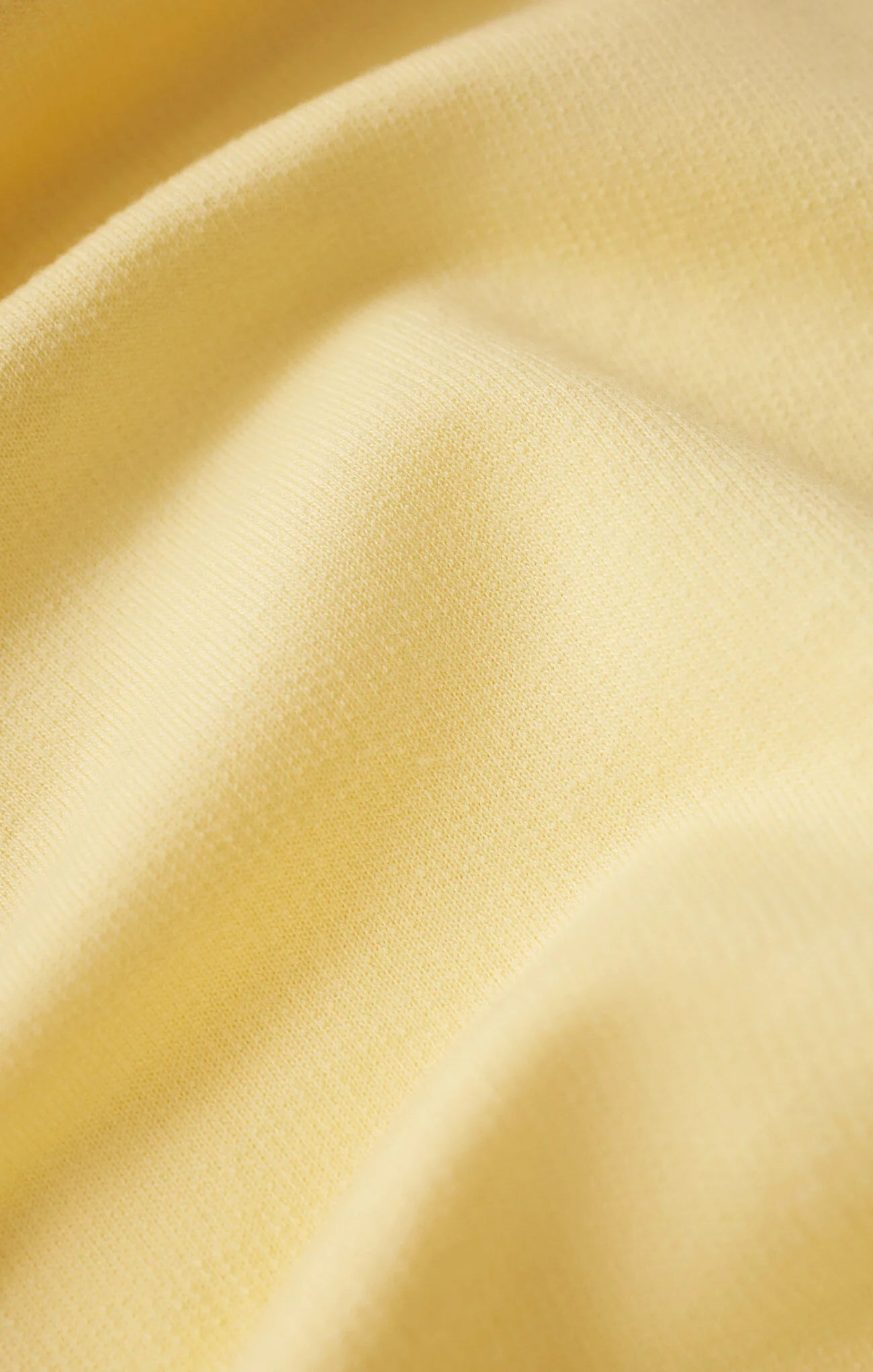 Z Supply | Birdie Short | Sunnyside| Swatch | Vagabond | Apparel | Boutique