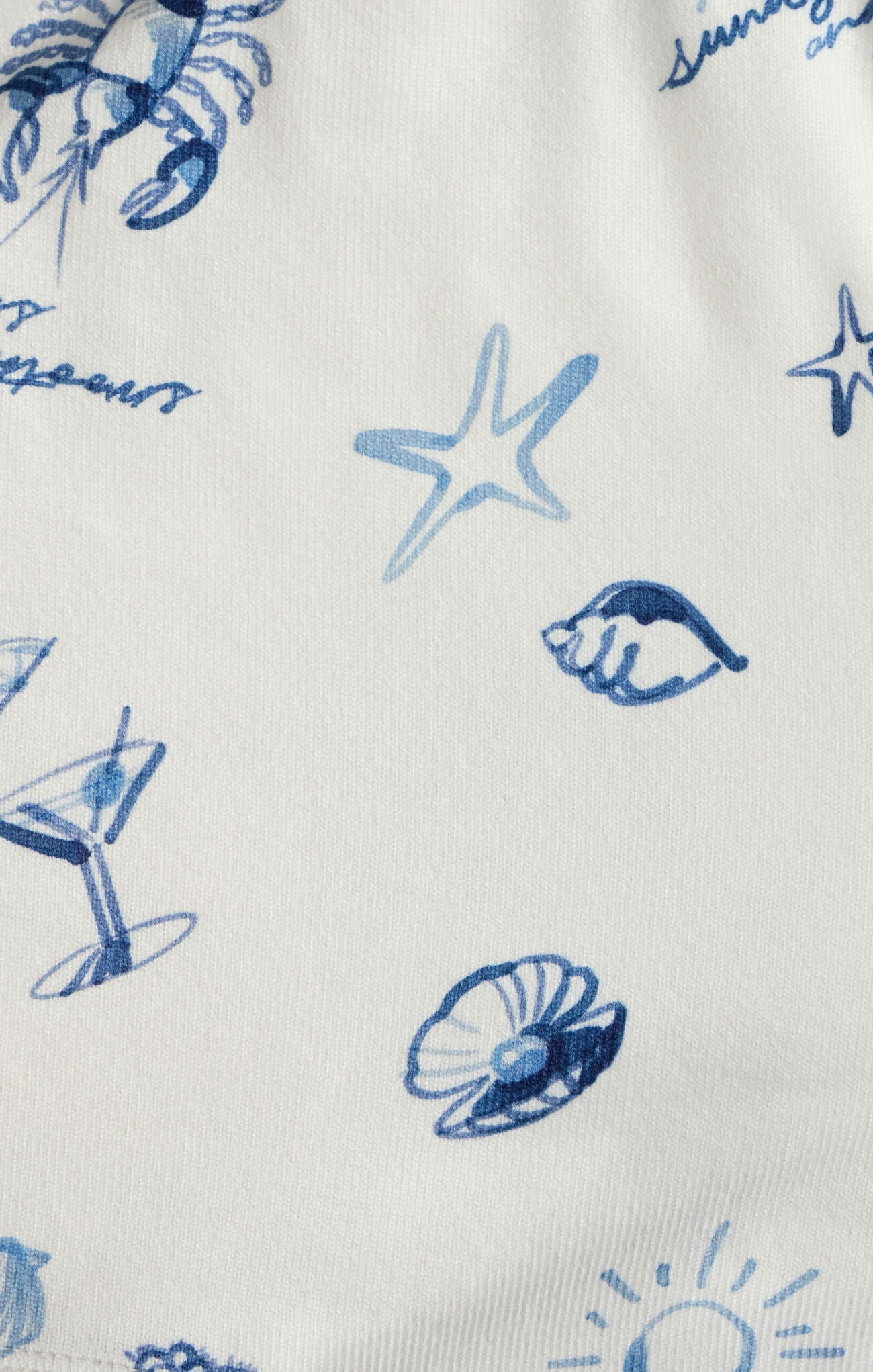 Z Supply | Lost At Sea Short | Swatch | Vagabond | Apparel | Boutique