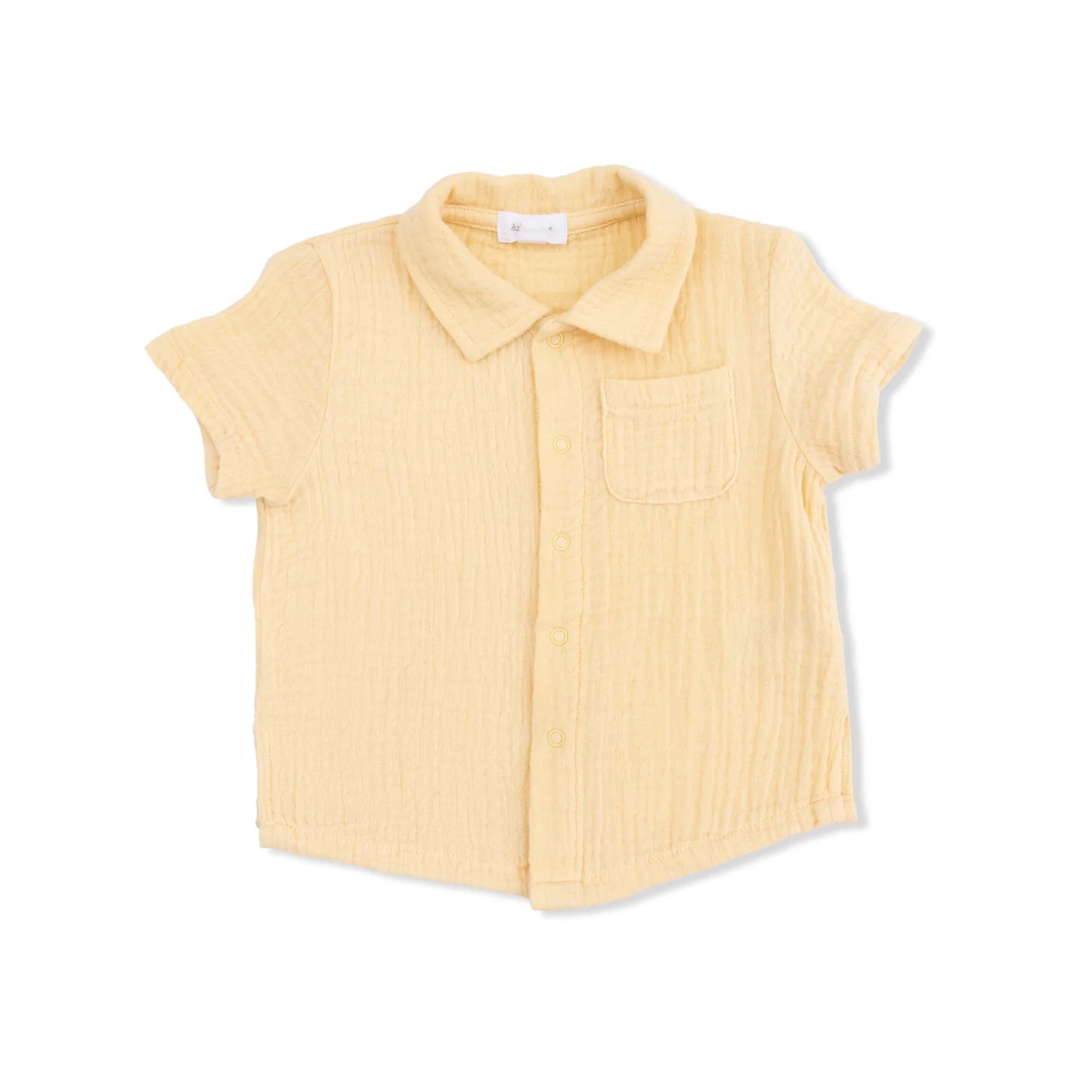 Angel Dear | Micro Gingham Blue Blizzard Polo Button Up W/ Casual Short | Top | Vagabond | Apparel | Boutique