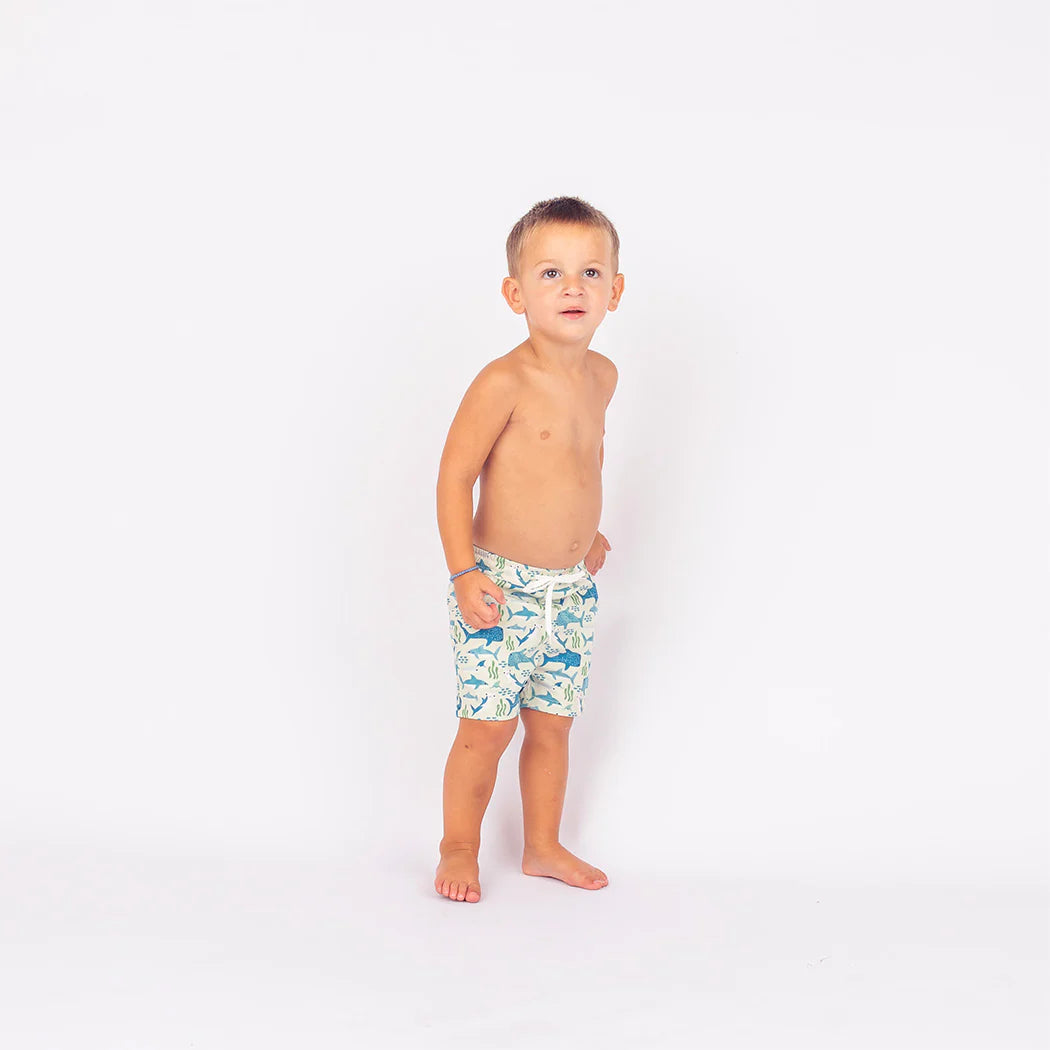 Emerson & Friends | Shark Friends Swim Trunks | Model | Vagabond | Apparel | Boutique