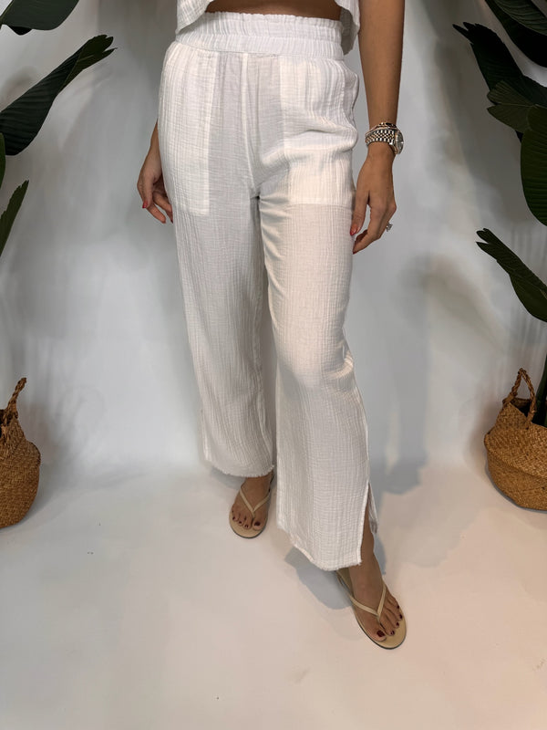 IMG_1520_600x.jpg?v=1703104734