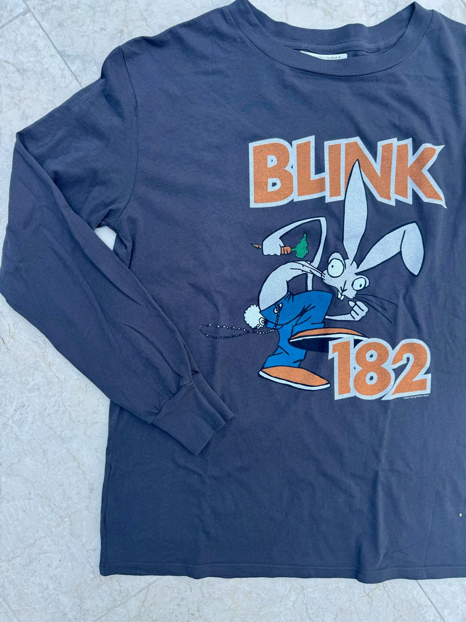 Rowdy Sprouts Blink 182 LS Tee Vintage Black | Vagabond Apparel