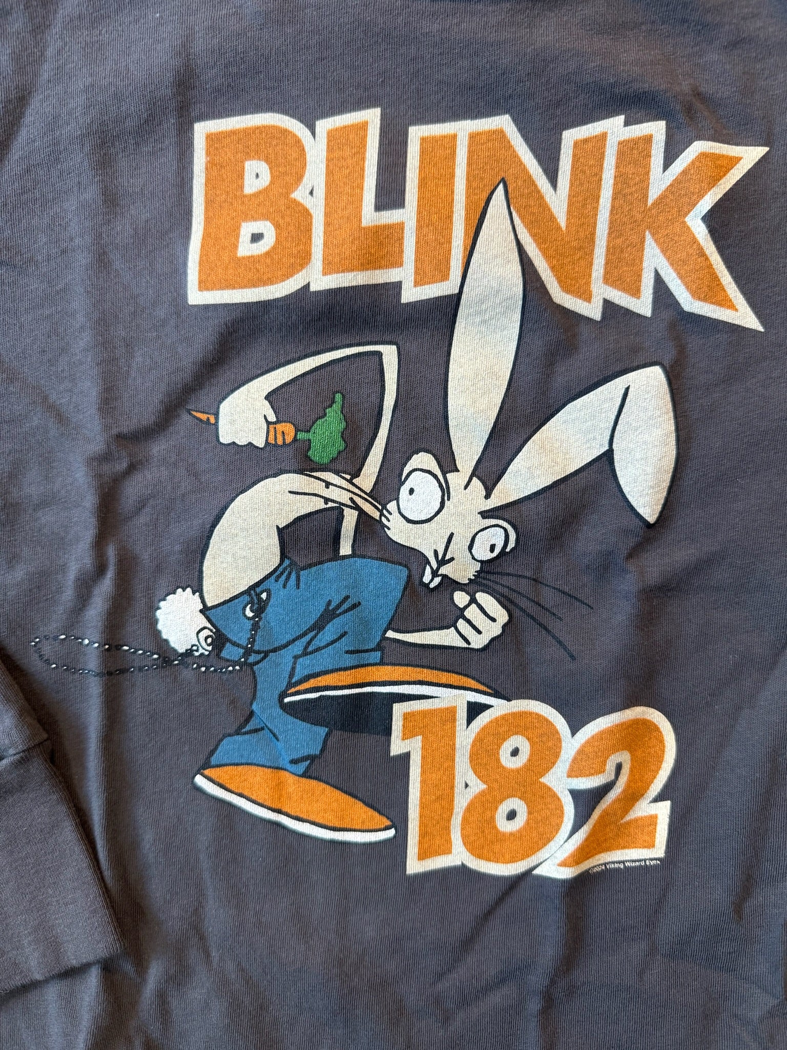 Rowdy Sprouts Blink 182 LS Tee Vintage Black | Vagabond