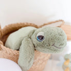 OB | Tyler Turtle Plush | Vagabond | Apparel | Boutique