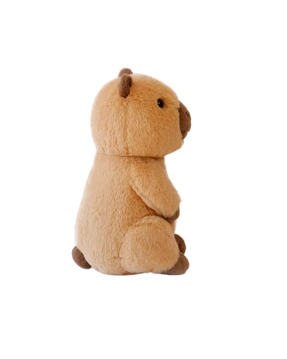 OB | Carlos Capybara | Side | Vagabond | Apparel | Boutique