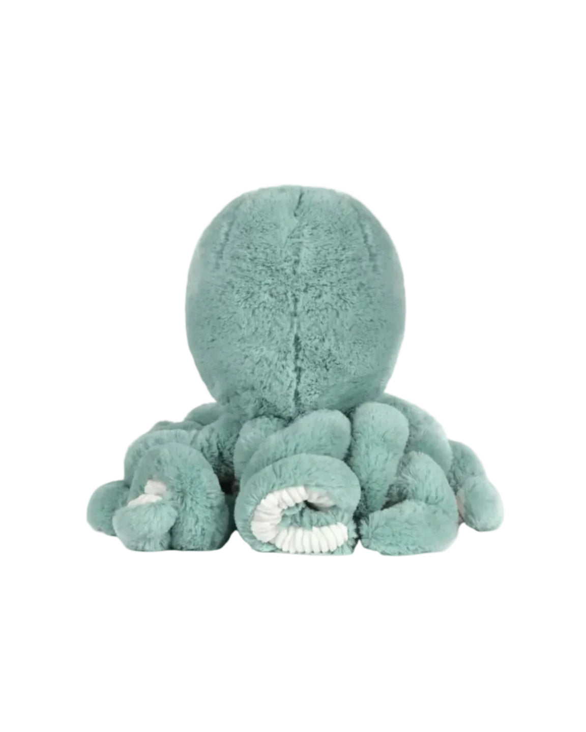 OB |  Reef Octopus Blue | Back | Vagabond | Apparel | Boutique