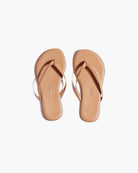 Tkees Kids | Foundations | Cocobutter | Vagabond | Apaprel | Boutique