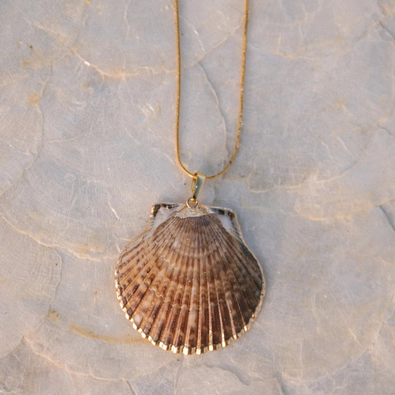 Voyage |  Scallop Shell Necklace | Vagabond | Apparel | Boutique